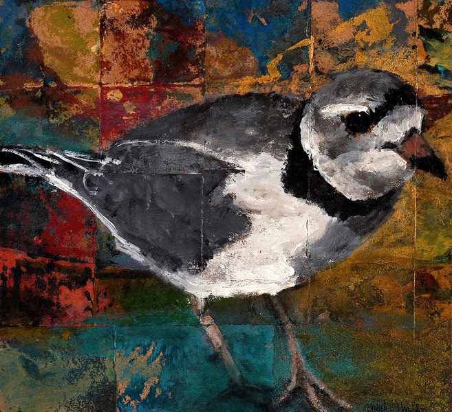 Piping Plover, 11 x 12 inches (image), on 17 x 18 inches sheet,  edition of 25