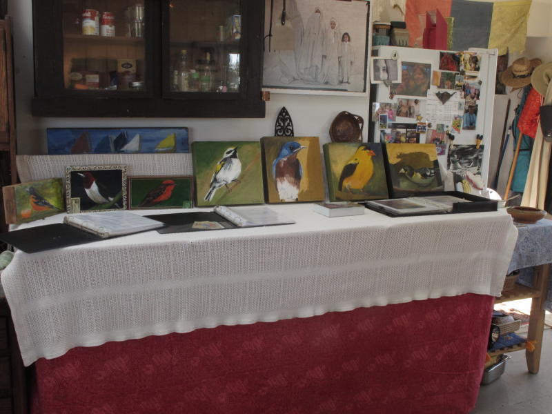 birds at open studio